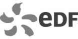 LOGO EDF